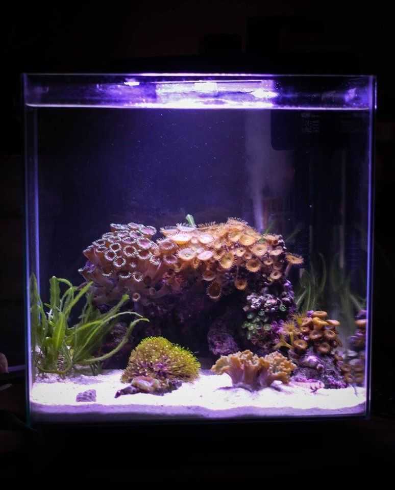 egy nano tengeri akvárium, cak 27 literes